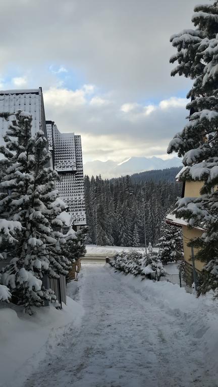 U Siebie W Gorach II Apartamento Bukowina Tatrzańska Exterior foto
